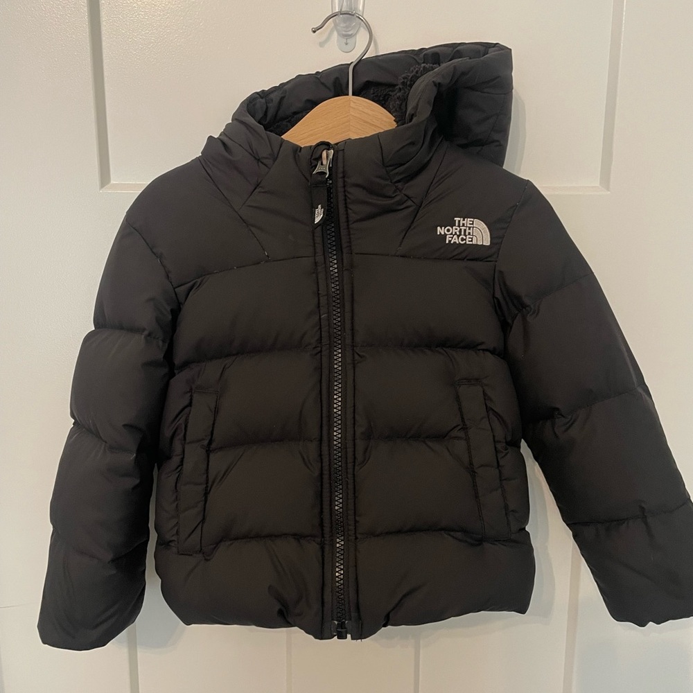 3T North Face 550 winter jacket